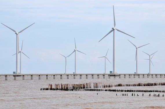 A wind power plant supplies electricity in Ca Mau (Photo: SGGP)