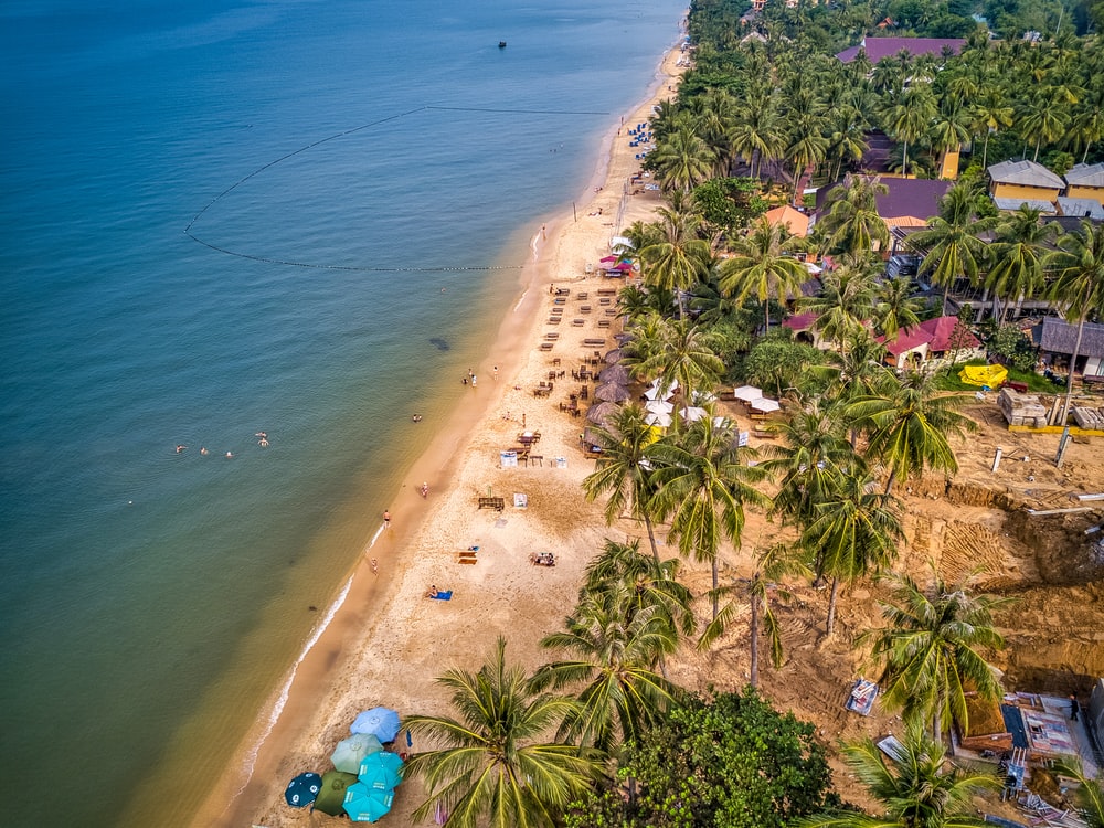 people on beach during daytime